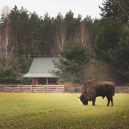Lesna 21 Dom Polnoc Przy Zalew Siemianowka Villa Luka Eksteriør billede